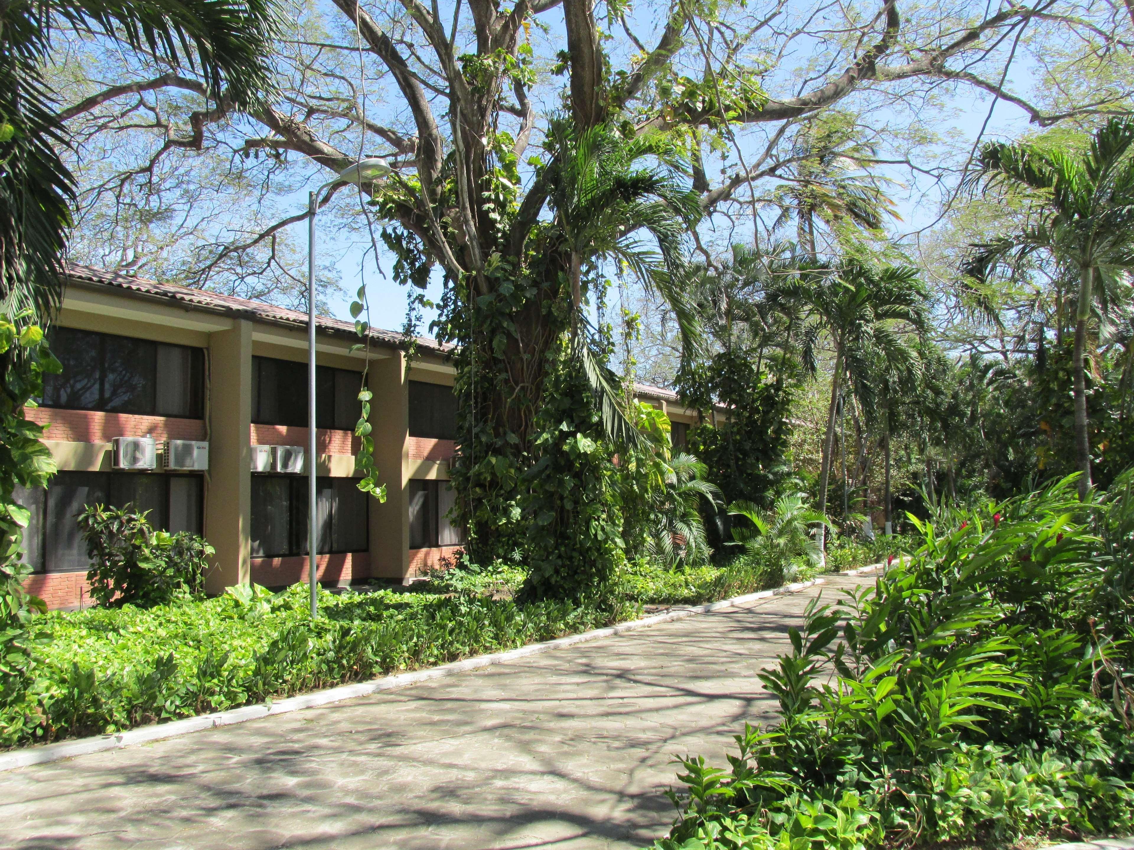 Best Western El Sitio Hotel&Casino Liberia Exterior foto